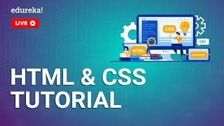HTML CSS Tutorial for Beginners  Learn HTML & 