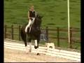 videos de Horses - Your Guardian Angel