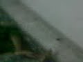 Sotay hue bachon pe Pani KI Bouchar!!! Sotay hue bachon pe Pani KI Bouchar!!!