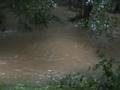 videos de Backyard Flood Plain 1