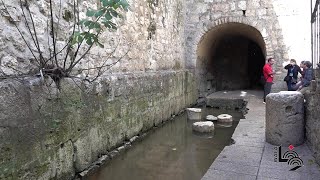 عين سلوان عين سلوان