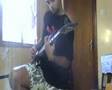 videos de XerCantSado music