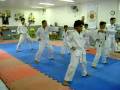 exame de faixa TKD faixa branca