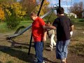 more fun at king row park (3/5) more fun at king row park (3/5)