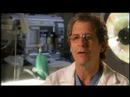 Doctors Speak On Himalayan Goji Juice
