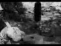 videos de Hugh Boyd Student Film - In the Trenches
