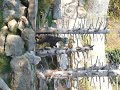 Fresstrommel für Fritz den Bär - Alpenzoo Innsbruck Fresstrommel für Fritz den Bär - Alpenzoo Innsbruck