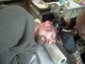 anto tattoo
