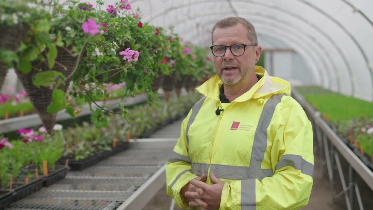 Awen Cultural Trust B-Leaf case study: on-site, sustainable food production