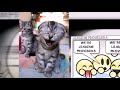 A Standard Business Presentation ... From the Victim\