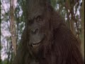 Ace Ventura [When Nature Calls] Prt. 9