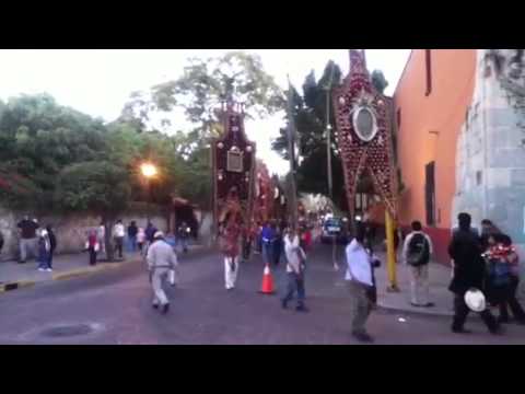 Ver video