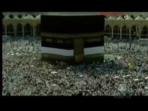 العرب