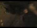 videos de borrachos.3gp