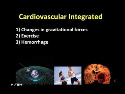 how to perform lying and standing bp