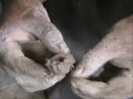 Ecosensitive Ganesh idols