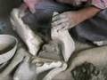 Ecosensitive Ganesh idols