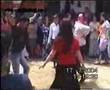 �e�en Bozkurt ta bir �e�en D���n�