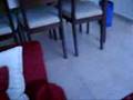 videos de sueda