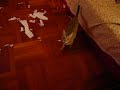 作反