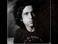 andrés calamaro   todo lo demás