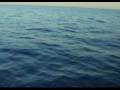 videos de Summer 08 b