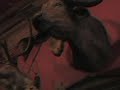 Small screenshot from 