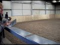 Preliminary 1 - Me and Daniel