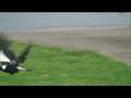 Sony HDR-SR7 Slow Motion Demo(insanly slow)