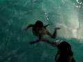 videos de Bianca's Night Swimming