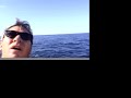 marlin fishing cabo to puerto vallarta tuna on el banco