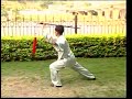 Yang Taiji Sword Yang Taiji Sword