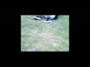 my friend doing backflip!