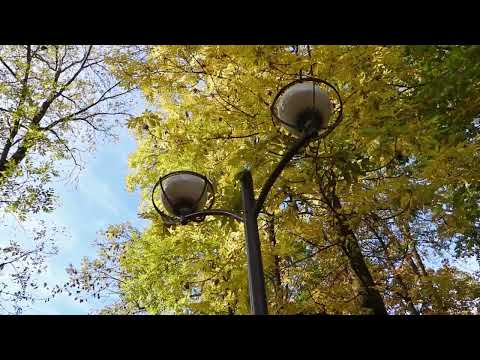 Барановичи день за днем. 10.10.22.