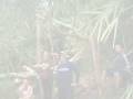 videos de mt. pico de loro