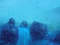 DSCF1760