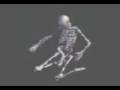 calavera asta la muerte