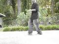iShad's-Anniversary-C-Walk-Mixtape