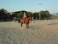 Diesel bareback