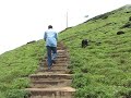 Chikmagalur - mullayanagiri-1 Chikmagalur - mullayanagiri-1