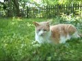 A Visit with Booper & Cat Van Beek