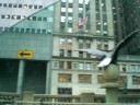 New York Cab Ride