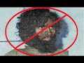 الشيخ ابن باز رحمه الله وكلمة حول فتنة جهيمان عام 1400 هـ
