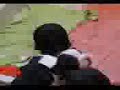 bulldog frances asesinos peleando 2.3gp