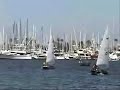 SDYC Summer Series