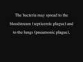The Bubonic Plague