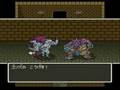 Dragon Quest(Dragon Warrior) 5 Gonz & Jami defeating