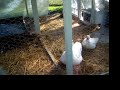 NICE WEATHER TO CHECK OUT THE GARDEN !!