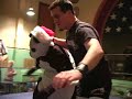 Inter Species Wrestling - Death of Bamboo.
