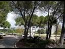 HAIFA_ISRAEL.divx HAIFA_ISRAEL.divx